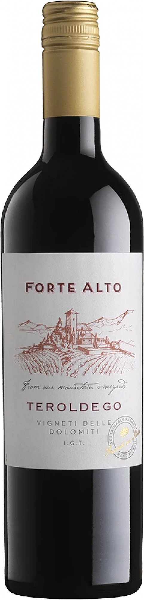 Вино "Forte Alto" Teroldego: Фото 1