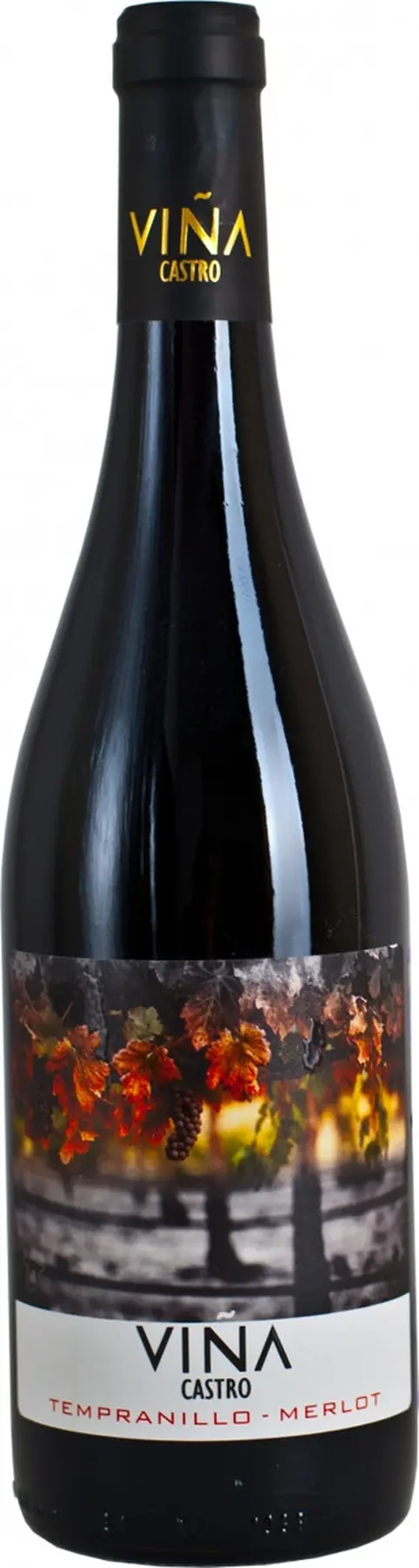 Вино "Vina Castro" Tempranillo-Merlot: Фото 1