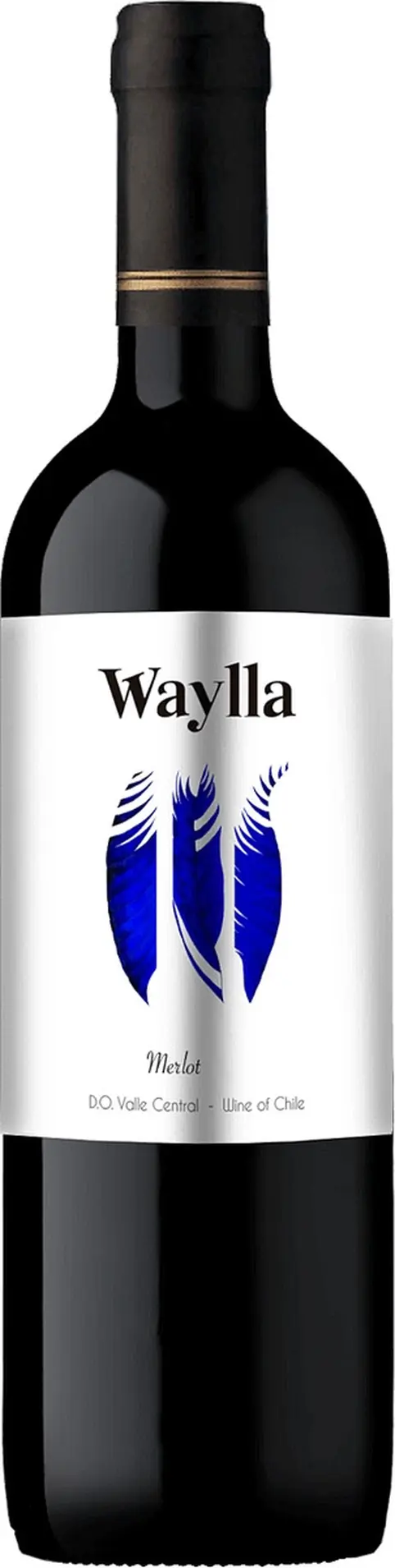 Вино "Waylla" Merlot, Central Valley DO: Фото 1
