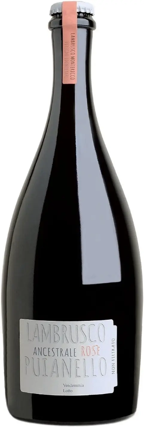 Игристое вино Puianello, Ancestrale Lambrusco dell'Emilia IGT Rose: Фото 1