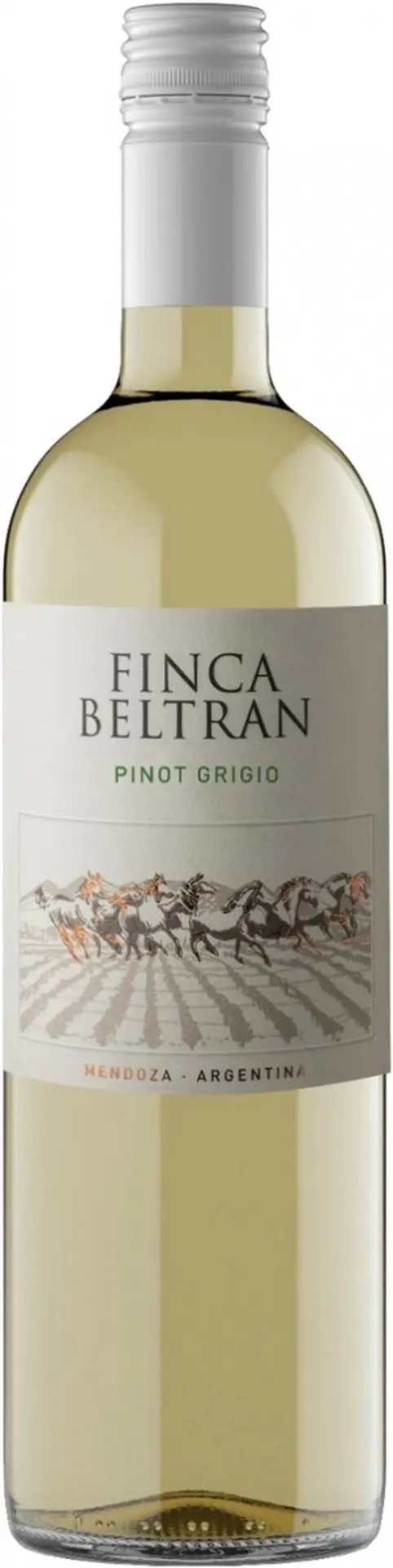 Вино "Finca Beltran" Pinot Grigio: Фото 1