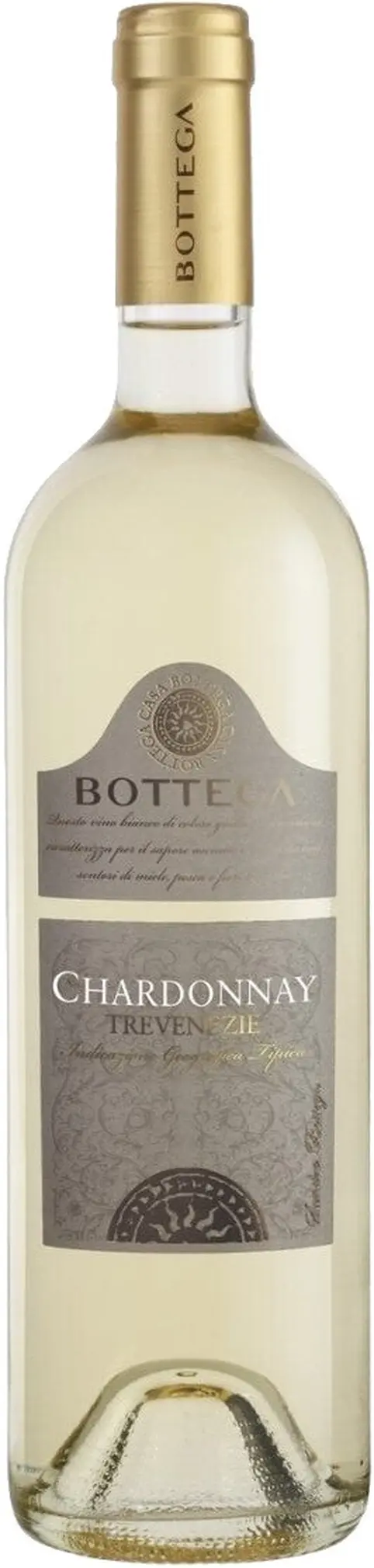 Вино Bottega, Chardonnay, Trevenezie IGT: Фото 1