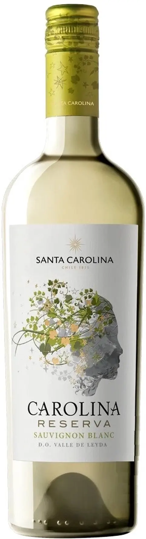 Вино Santa Carolina, "Carolina Reserva" Sauvignon Blanc: Фото 1