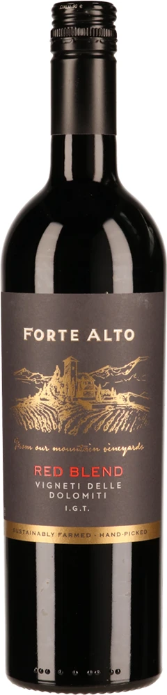 Вино "Forte Alto" Red Blend
